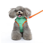 Cozy Adventure Dog Puffer Vest