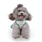 Polka Dot Green Dog Dress with Christmas Tree Design