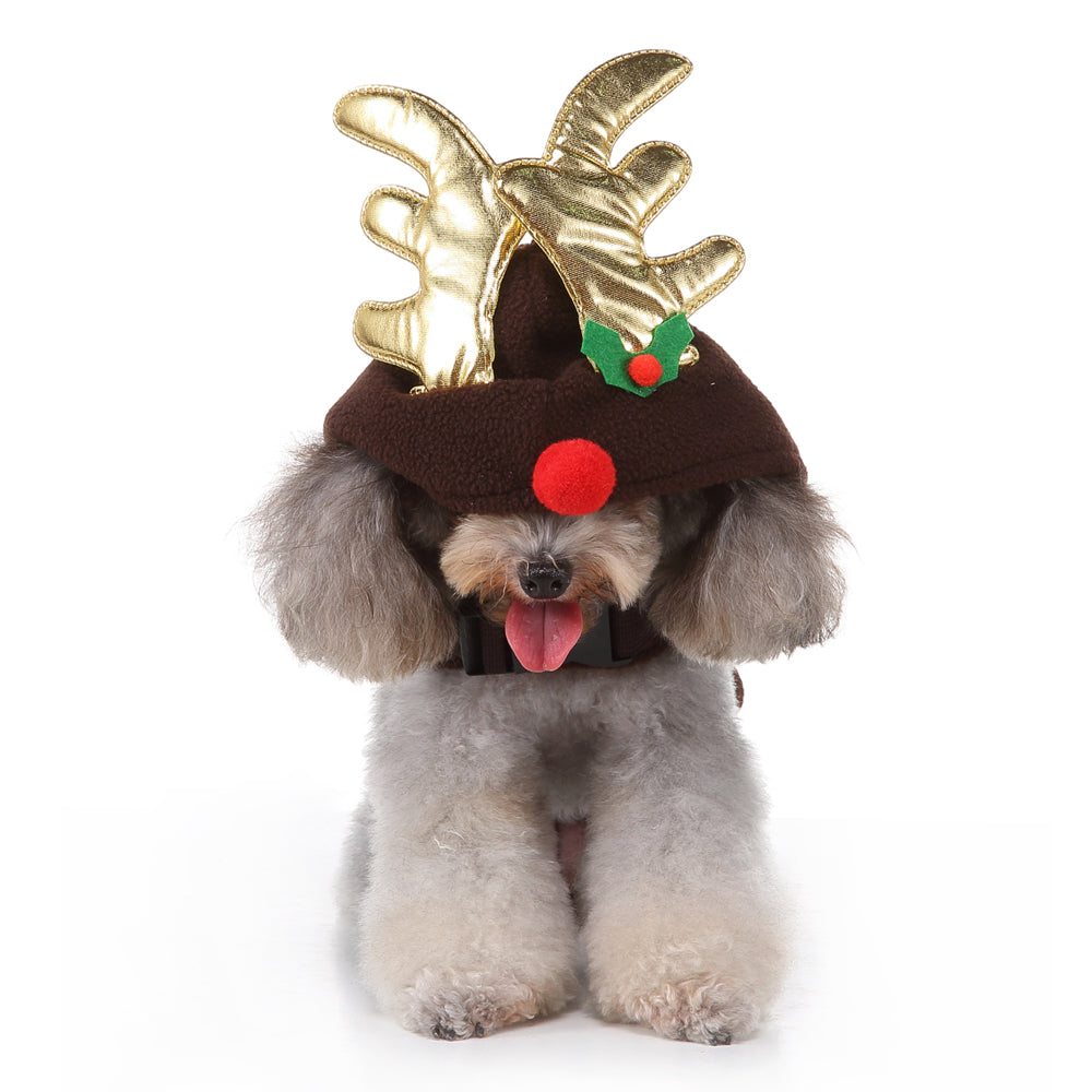 Reindeer Dog Costume – Festive Brown Outfit with Golden Antlers, Bells, and Pom-Pom Details
