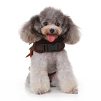 Reindeer Dog Costume – Festive Brown Outfit with Golden Antlers, Bells, and Pom-Pom Details