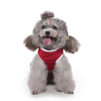 Polka Dot Green Dog Dress with Christmas Tree Design