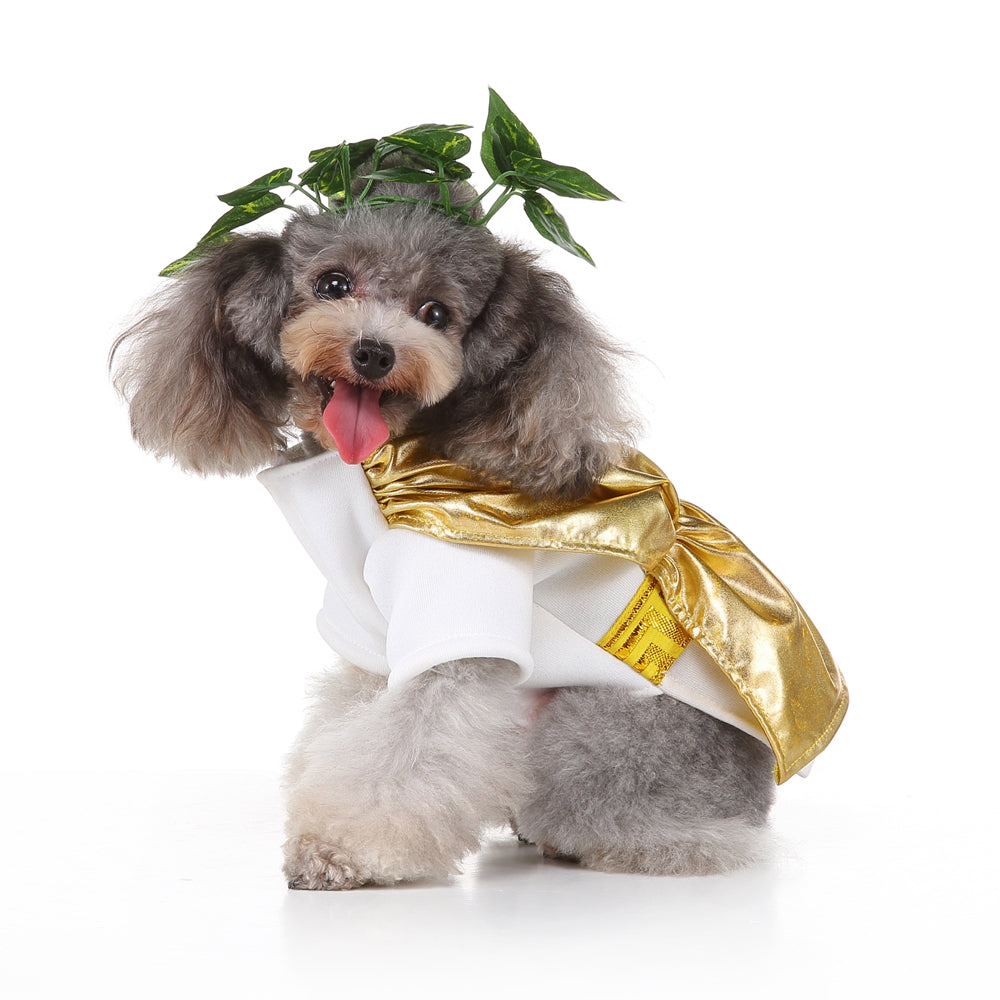Roman Emperor Dog Costume – Regal White Tunic with Gold Cape and Laurel Crown