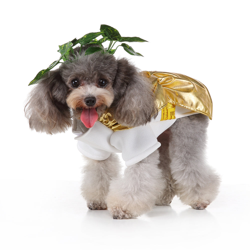 Roman Emperor Dog Costume – Regal White Tunic with Gold Cape and Laurel Crown