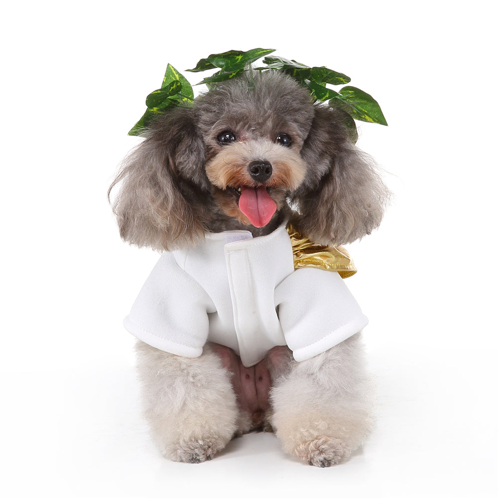 Roman Emperor Dog Costume – Regal White Tunic with Gold Cape and Laurel Crown