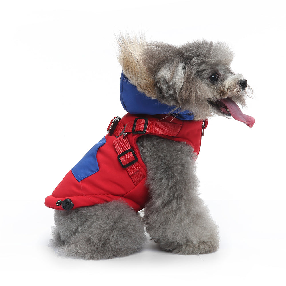 Peture Winter Dual-Color Dog Harness Jacket with Hood (Available in Wine-Yellow / Red-Blue)