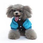 Colorblock Hooded Puffer Dog Jacket