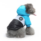 Colorblock Hooded Puffer Dog Jacket