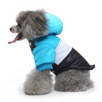 Colorblock Hooded Puffer Dog Jacket