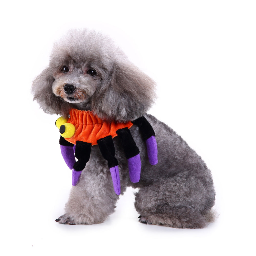 Spider Dog Costume – Adorable Halloween Pet Outfit