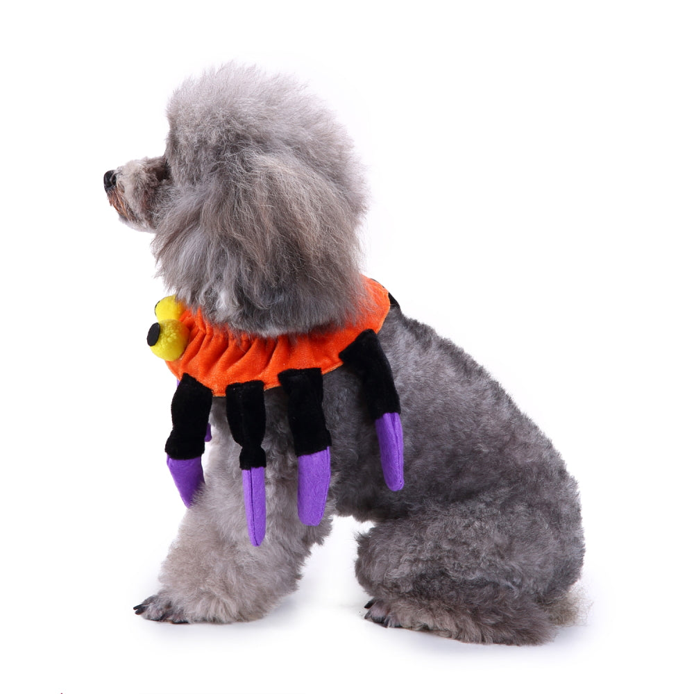 Spider Dog Costume – Adorable Halloween Pet Outfit
