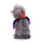 Spider Dog Costume – Adorable Halloween Pet Outfit