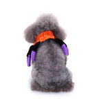 Spider Dog Costume – Adorable Halloween Pet Outfit