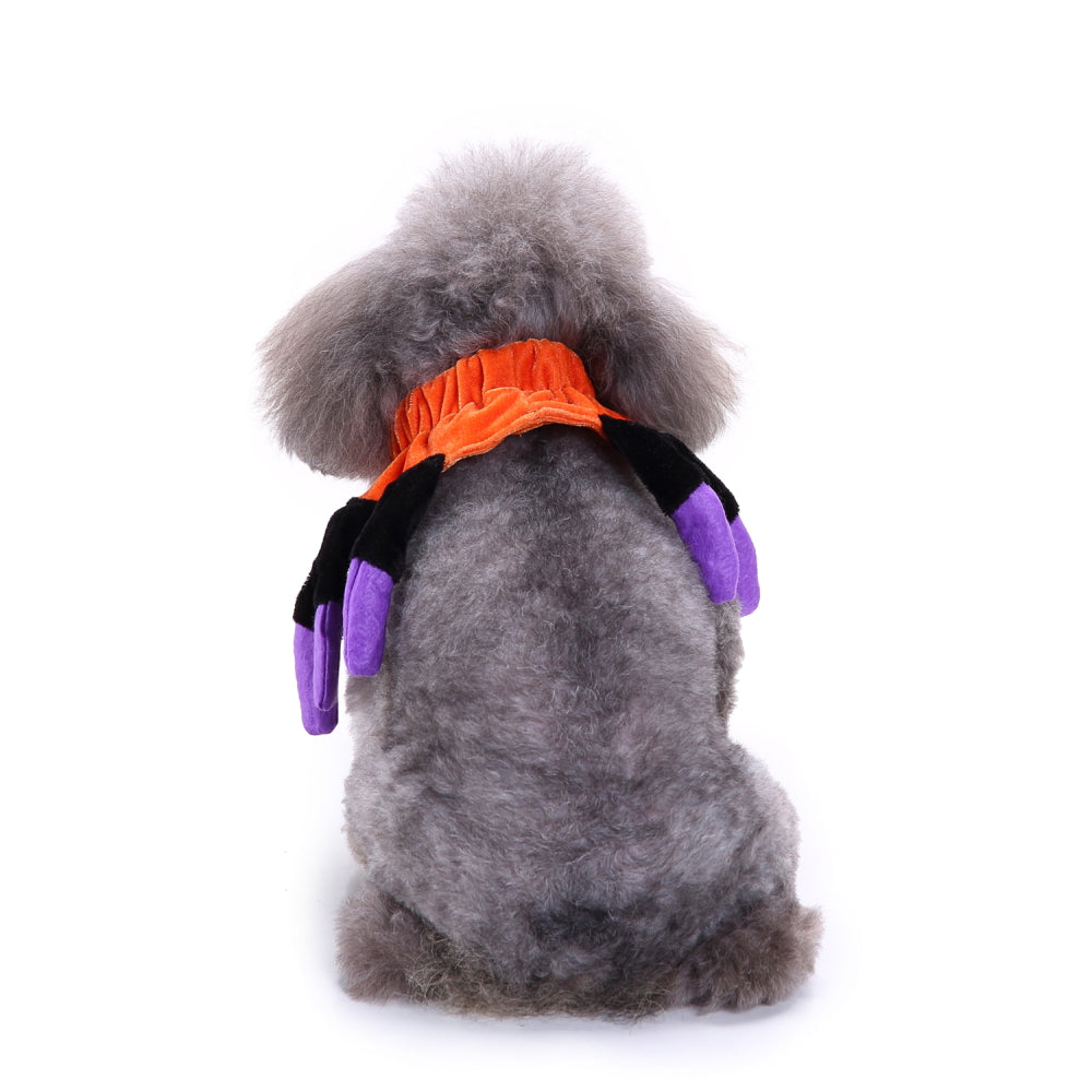 Spider Dog Costume – Adorable Halloween Pet Outfit