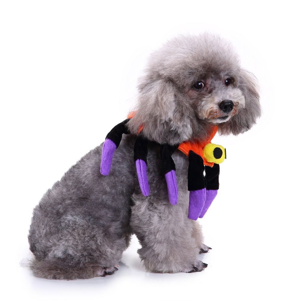 Spider Dog Costume – Adorable Halloween Pet Outfit