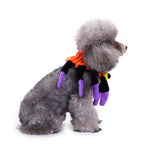 Spider Dog Costume – Adorable Halloween Pet Outfit