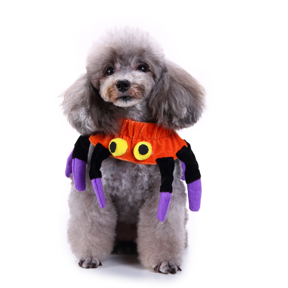 Spider Dog Costume – Adorable Halloween Pet Outfit