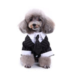 Tuxedo Dog Costume – Elegant Black, Blue or Pinstripe Tuxedo with Bow Tie for Special Occasions