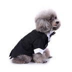 Tuxedo Dog Costume – Elegant Black, Blue or Pinstripe Tuxedo with Bow Tie for Special Occasions