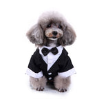 Tuxedo Dog Costume – Elegant Black, Blue or Pinstripe Tuxedo with Bow Tie for Special Occasions