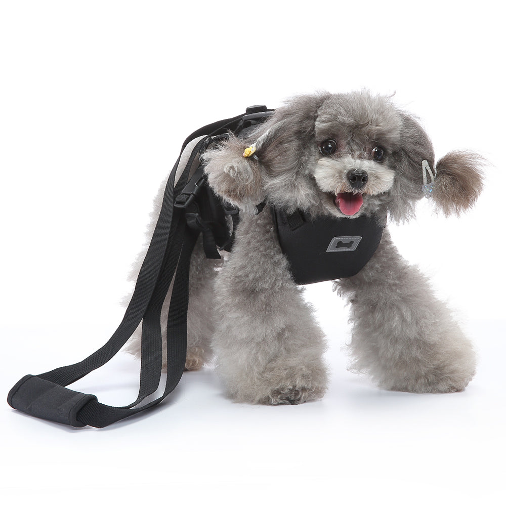 Multi-Function Pet Harness & Carry Strap – Black / Green / Grey