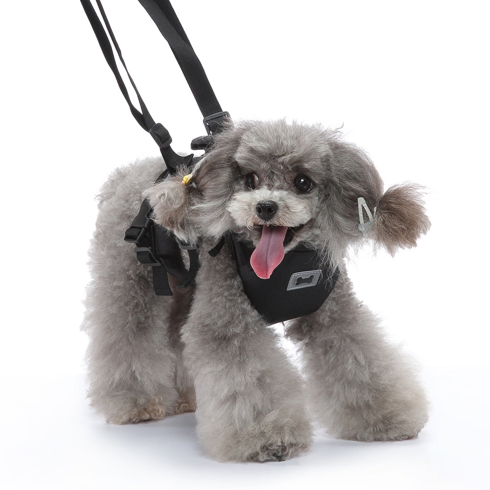 Multi-Function Pet Harness & Carry Strap – Black / Green / Grey