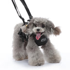 Multi-Function Pet Harness & Carry Strap – Black / Green / Grey