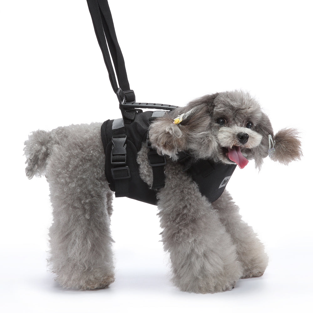 Multi-Function Pet Harness & Carry Strap – Black / Green / Grey