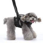 Multi-Function Pet Harness & Carry Strap – Black / Green / Grey