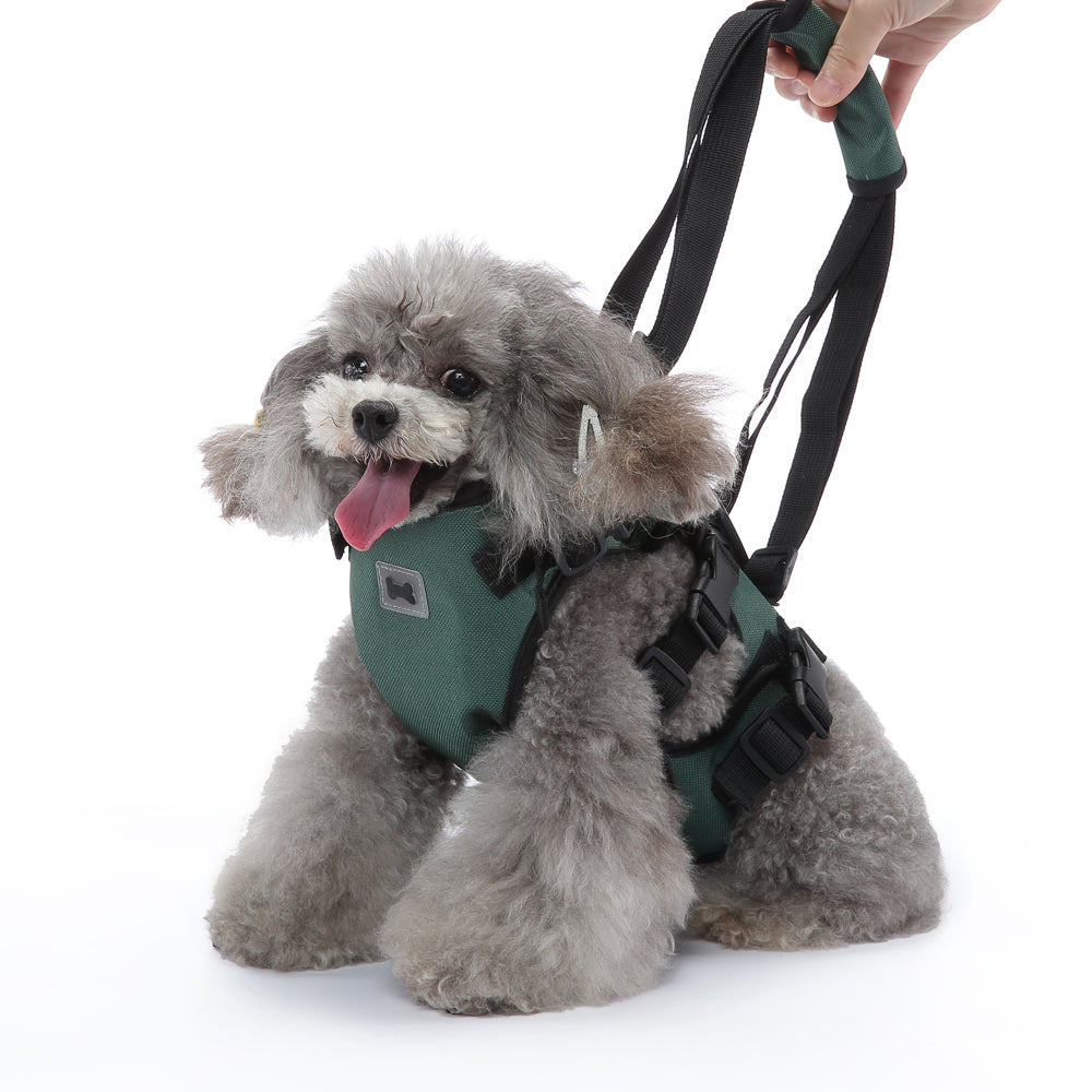 Multi-Function Pet Harness & Carry Strap – Black / Green / Grey
