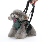 Multi-Function Pet Harness & Carry Strap – Black / Green / Grey