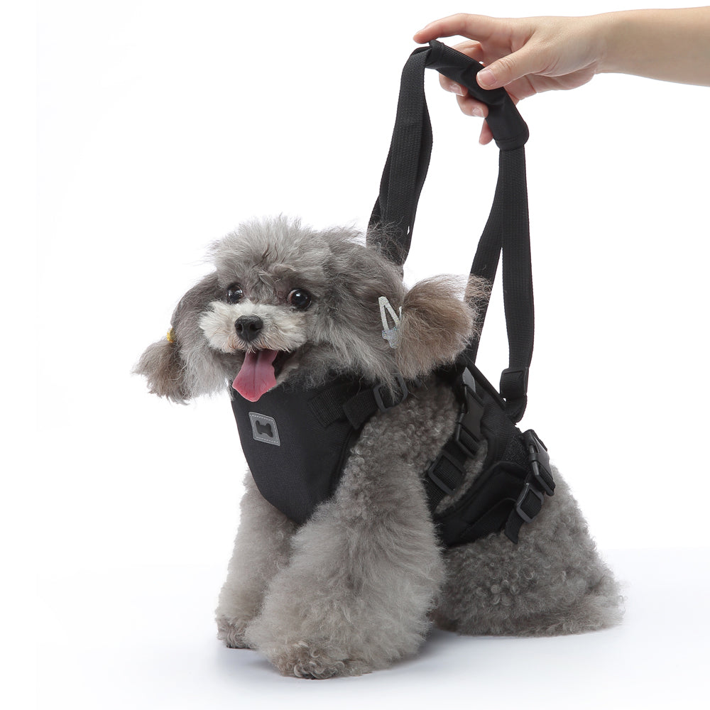 Multi-Function Pet Harness & Carry Strap – Black / Green / Grey