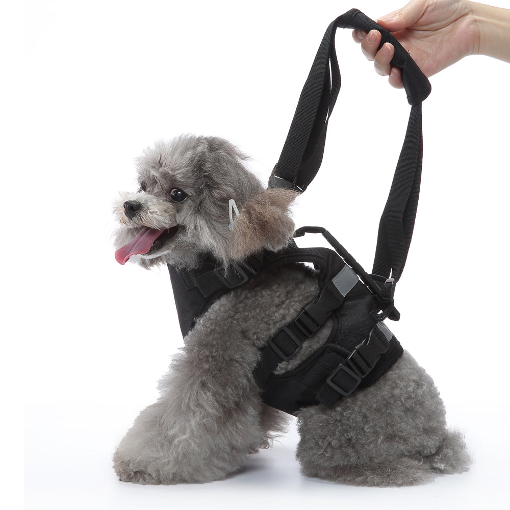 Multi-Function Pet Harness & Carry Strap – Black / Green / Grey
