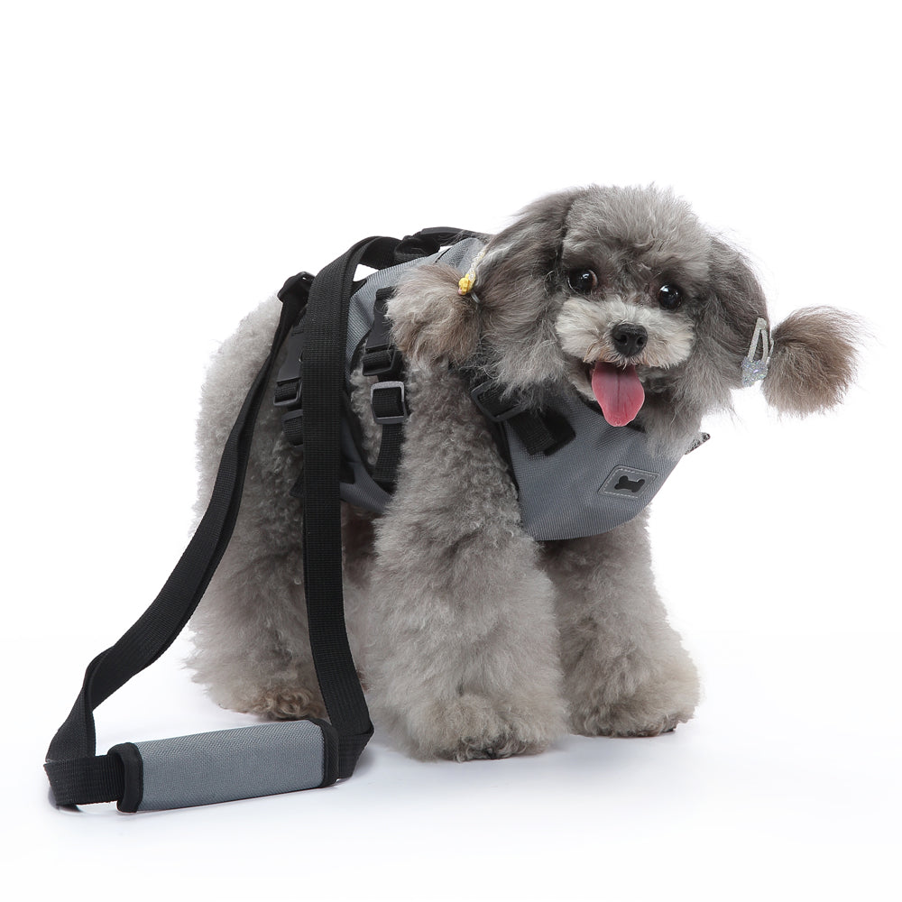 Multi-Function Pet Harness & Carry Strap – Black / Green / Grey