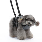 Multi-Function Pet Harness & Carry Strap – Black / Green / Grey