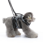 Multi-Function Pet Harness & Carry Strap – Black / Green / Grey