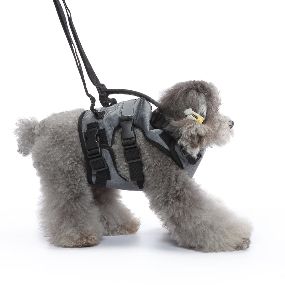 Multi-Function Pet Harness & Carry Strap – Black / Green / Grey
