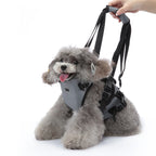 Multi-Function Pet Harness & Carry Strap – Black / Green / Grey