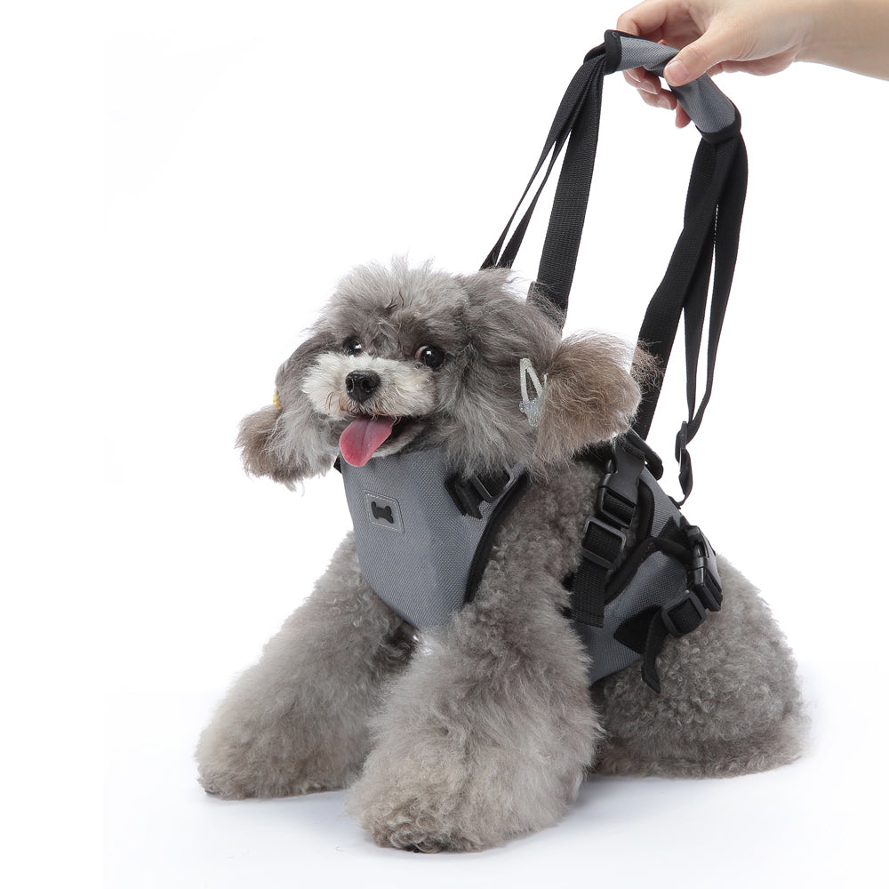 Multi-Function Pet Harness & Carry Strap – Black / Green / Grey