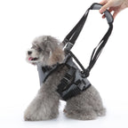 Multi-Function Pet Harness & Carry Strap – Black / Green / Grey