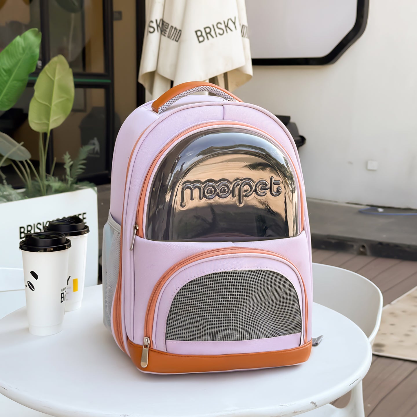 Bi-Window - Multi-Access Pet Backpack – Breathe, Roam & Connect