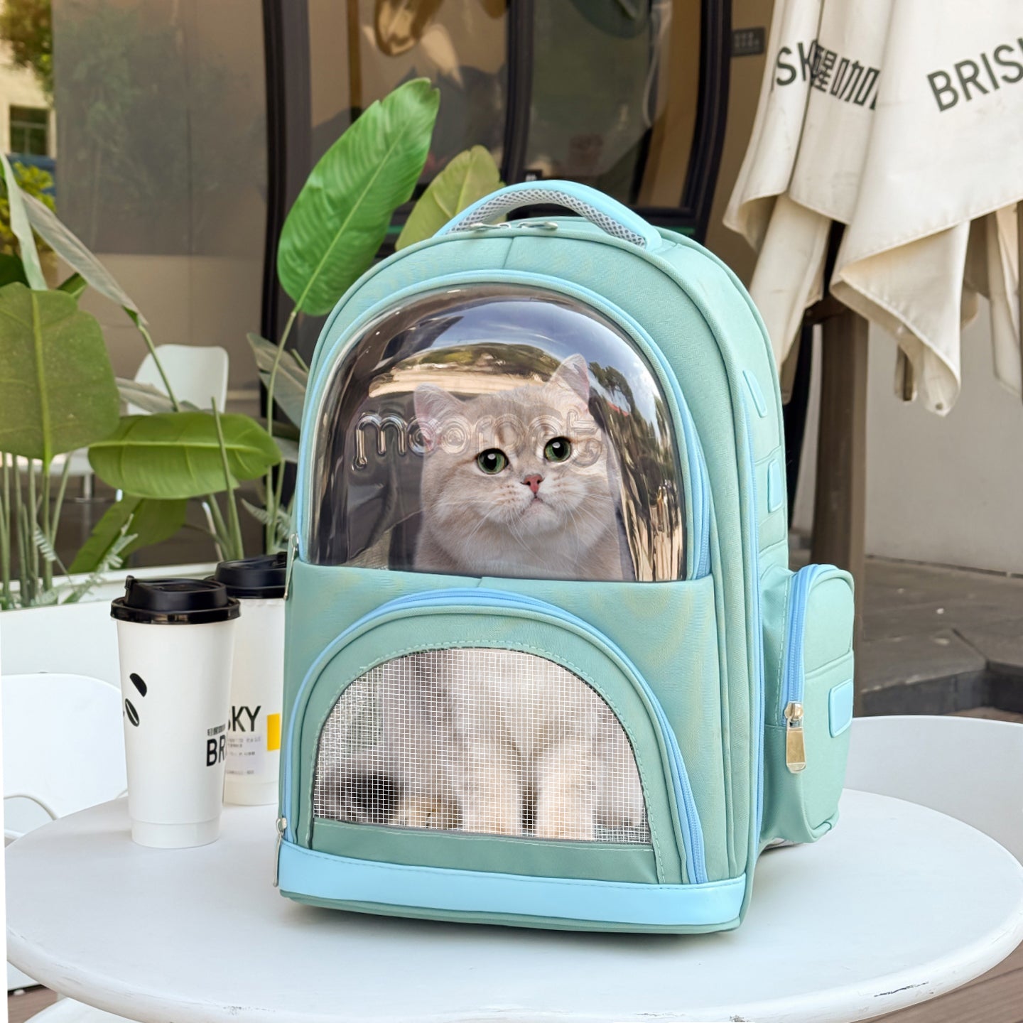 Bi-Window - Multi-Access Pet Backpack – Breathe, Roam & Connect