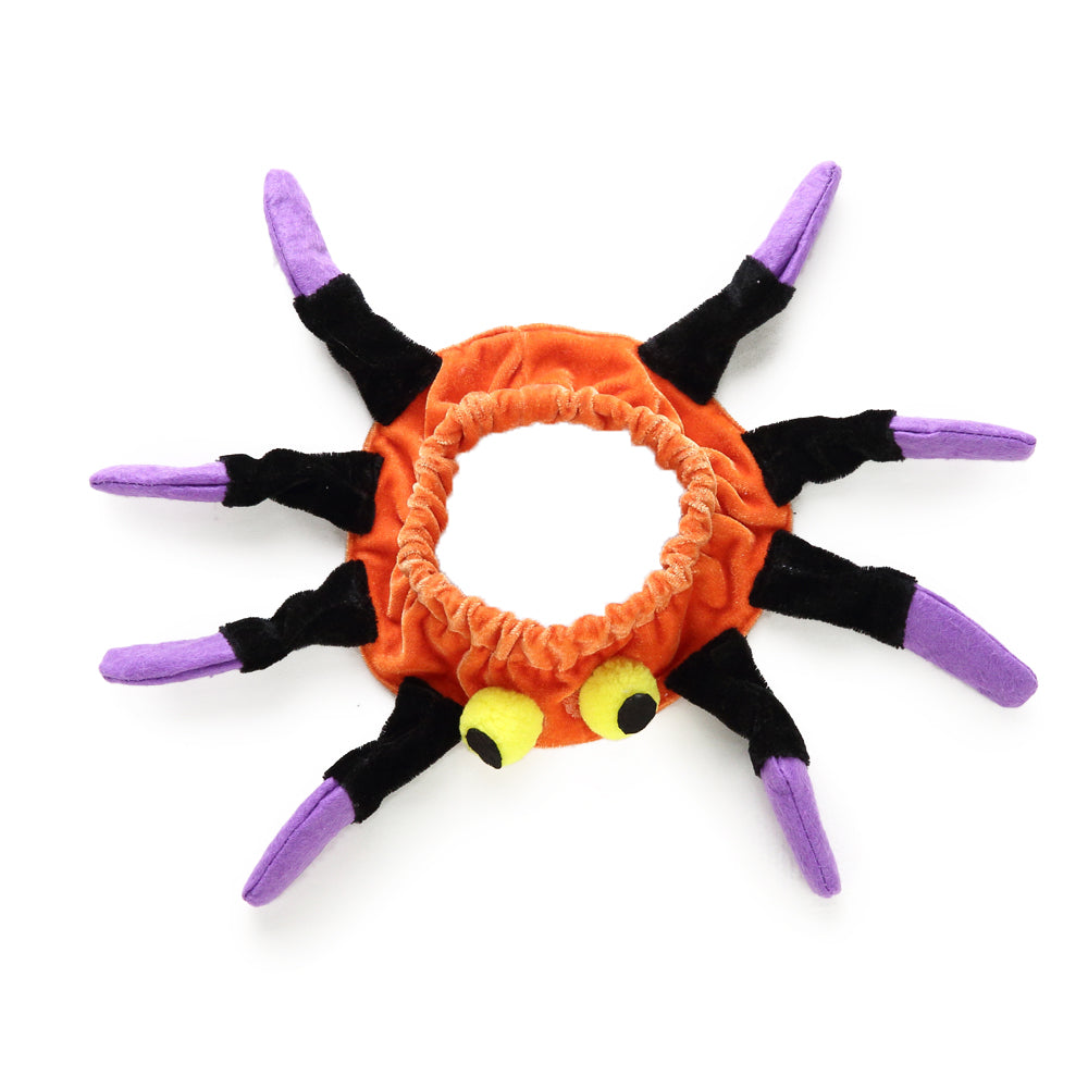 Spider Dog Costume – Adorable Halloween Pet Outfit