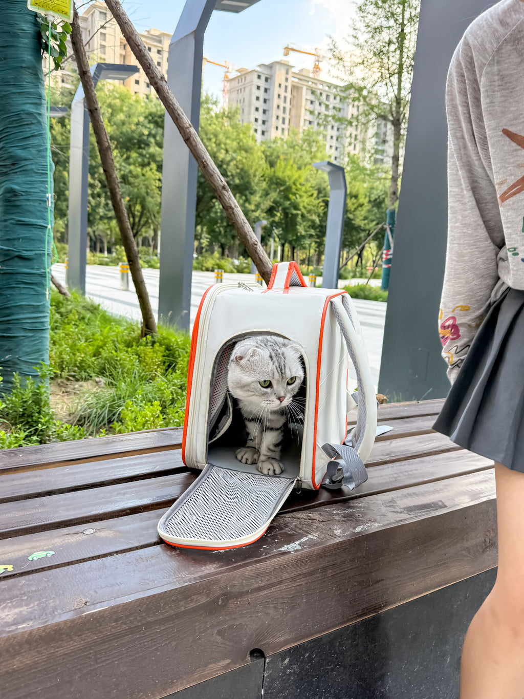 Expand Comfort 2-in-1 Pet Carrier – Expandable, Breathable & Luggage-Ready