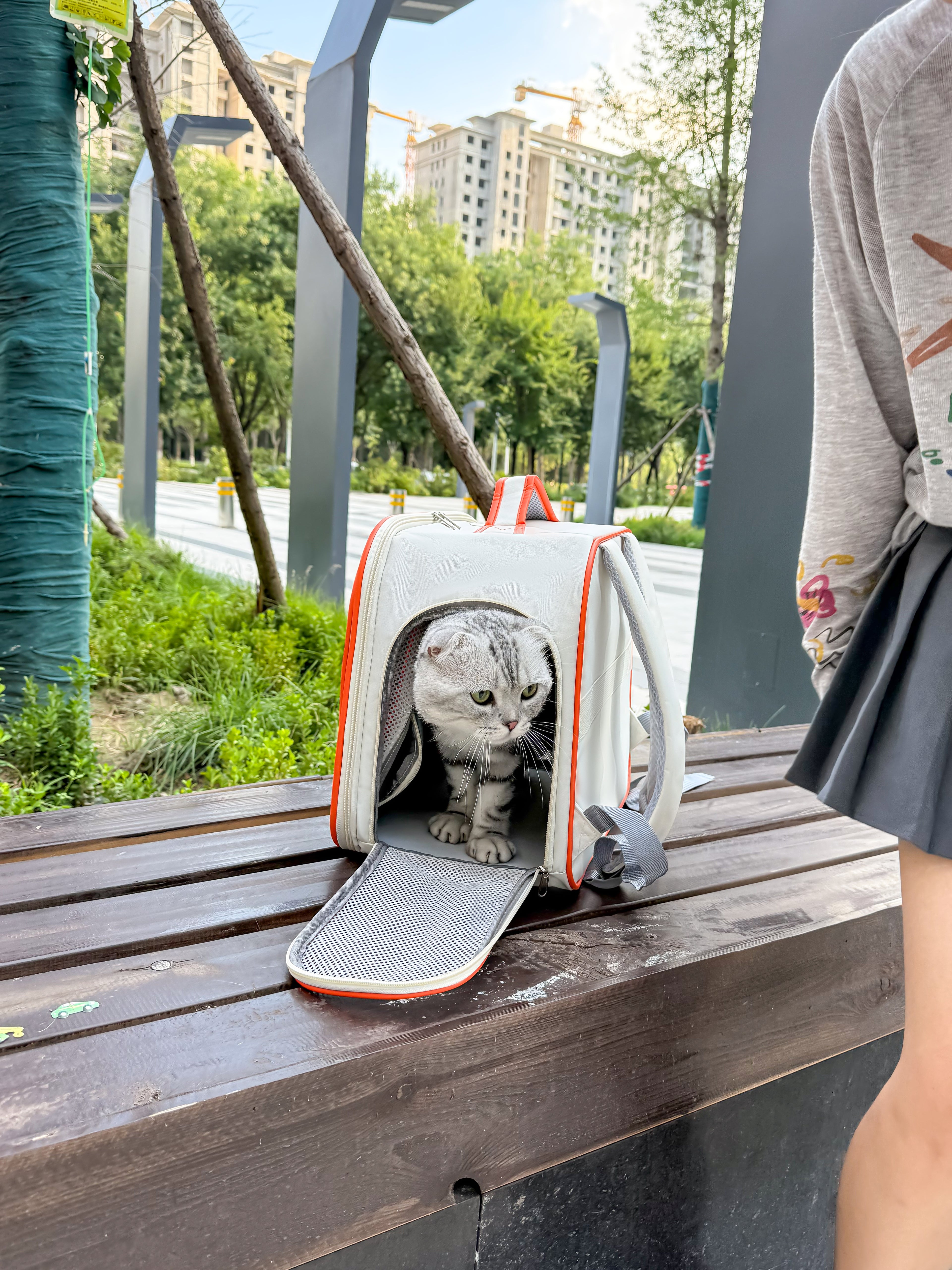 Expand Comfort 2-in-1 Pet Carrier – Expandable, Breathable & Luggage-Ready