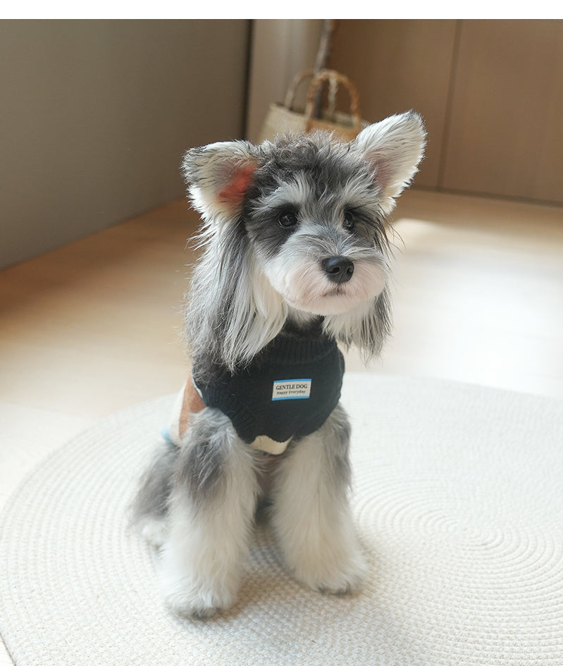 Striped Sweater Vest