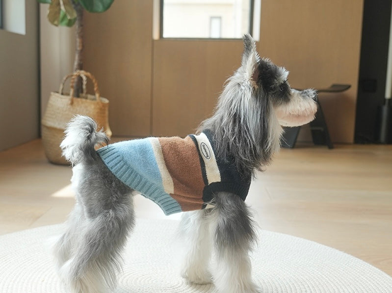 Striped Sweater Vest