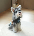 Striped Sweater Vest