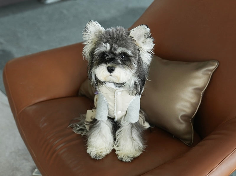 Minimalist Four-Legged Vest