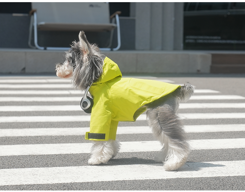 Classic Minimalist Windbreaker