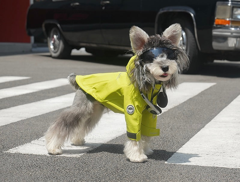 Classic Minimalist Windbreaker
